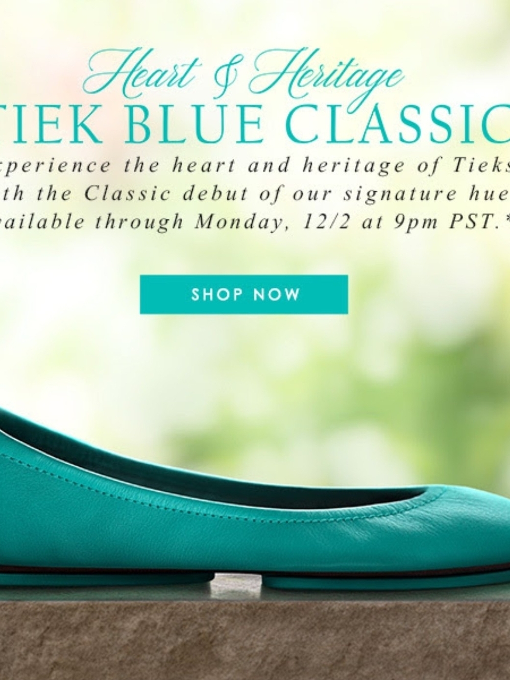 Tiek Blue Classic Leather Ballet Flats Size 12 - Picture 6 of 7